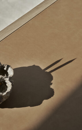 Vipp 430 Studio Desk Light oak w/camel leather